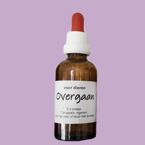 Demo product volwassen